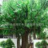Suministro de fábrica simulación columna Banyan grande cemento Banyan simulación Banyan paisaje Banyan árbol banyan antiguo