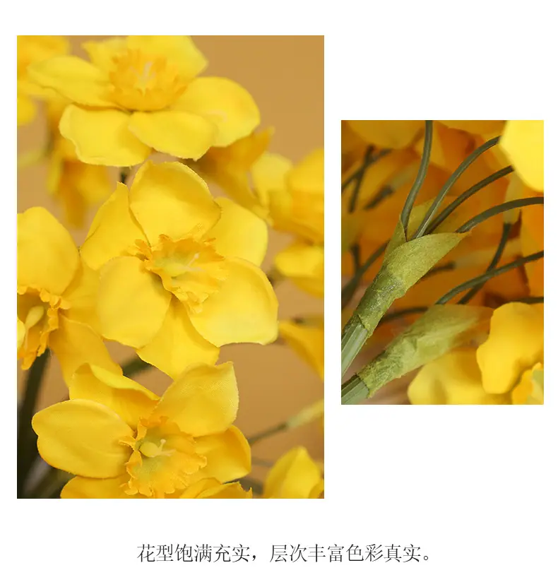 6头扎束水仙_08.jpg