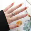 Anel Aberto com Design de Nicho Interessante Feito de Aço Inoxidável, Anel para Dedo Indicador com um Toque de Luxo Leve, Moderno e Fashion, Acessório Versátil Estilo Coreano