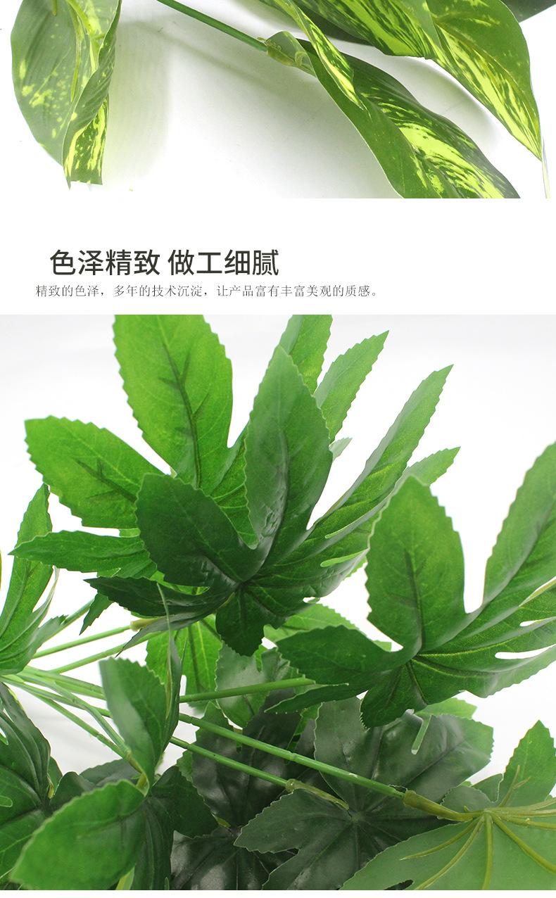 植物把束_10