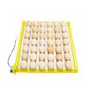 Incubadora Totalmente Automática Bandeja Giratoria para Huevos Bandeja para 56 Huevos Combinación de Motor Bandeja para 156 Huevos de Ave Accesorios para Incubadora