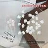 Pétalos de Flores Tridimensionales Transparente como el Hielo y Accesorios Florales para Uñas, Pétalos de Resina Coloridos de Venta Caliente Transfronteriza, Decoraciones de Uñas Portátiles para DIY