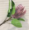 Fábrica de flores de simulación directa, flor emperador de simulación al por mayor, decoración del hogar, flor de boda, flor de simulación tropical