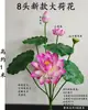 Flores de Loto Simuladas, Hojas de Loto Falsas para Estanques, Nenúfares para Paisajismo, Decoración para Acuarios, Accesorios para Espectáculos de Danza, Flores Artificiales de Alta Gama