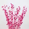 Flores Secas de Yunnan, Frijoles de Acacia, Frijoles de la Riqueza, Frijoles de Cáñamo, Flores Conservadas, Accesorios de Tapa de Vidrio, Decoración del Hogar, Flores Secas con Nervaduras