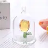Espejo Cruzado Amazon Mariposa de Cristal Bola de Cristal Adornos Animales Pequeños Creativos Decoración de Coche Manualidades Regalos Navideños