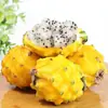 Venta al por mayor y entrega de Pitahaya de Hainan 1/3/ 2.5 kg Pitahaya de piel amarilla, Delicadamente dulce y fragante, Caja de regalo, Fruta fresca de temporada