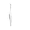 Pinzas para pestañas postizas rizador de pestañas pinza de pluma dorada de cabeza redonda pestaña larga pluma dorada pinzas de pico de águila herramienta de floración para esteticista de pestañas