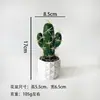 Flores Artificiales Plantas Tropicales Cactus Mini Plantas en Maceta Pequeñas Suculentas Artificiales Fabricante Suministro Directo Dropshipping Transfronterizo