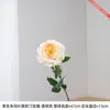 Uma única flor artificial rosa Juliet Austin é um adereço de fotografia que eleva sem esforço a qualidade visual de suas fotos.