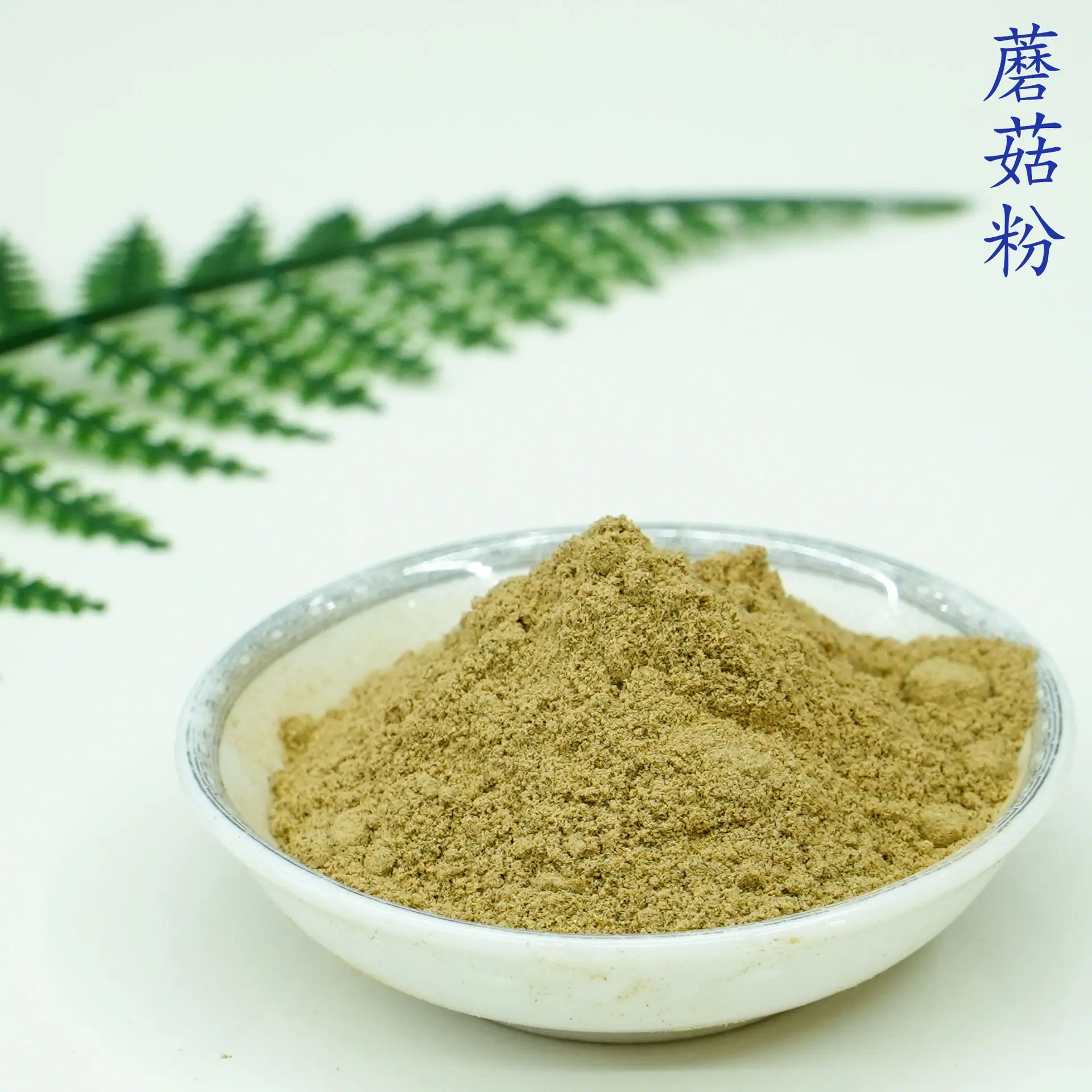 蘑菇粉5.jpg