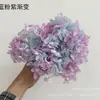 Flores de Hortensia Secas con Degradado Grande Hortensias Conservadas Cabezas de Flores Grandes Color Mixto Multicolor Hortensias Secas Decoración del Hogar Materiales Florales