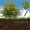 Atacado do Fabricante Plantas Artificiais Transfronteiriças, Folhas de Cipreste de Cinco Ramos, Plantas em Vasos de Plástico, Arbustos para Exterior, Decorações para Amazon, Estacas de Solo