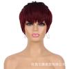 Europa y Estados Unidos transfronterizo spot segunda mano Europa y Estados Unidos peluca cabello corto liso mecanismo fibra química peluca tocado Pixie Cut Pelucas