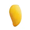 Hainan Jin Huang Mango Fresco Narciso Mango Paquete de Gato Caja Entera Piel Fina Fruta de Temporada para Mujeres Embarazadas Frutero Entrega Directa Envío Gratis