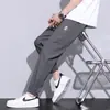 Fabricante Directo Pantalones de Hielo de Seda Finos de Verano Secado Rápido para Hombre Jogger Deportivos Sueltos con Puño Ropa de Trabajo Pantalones Cortos Tendencia para Hombre
