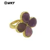 Wt-R601 Energía Trébol de Cuatro Hojas Piedra Preciosa Colgante Pequeño Anillo Chapado en Oro de 18 Quilates Joyería Diaria para Mujer Accesorios de Regalo