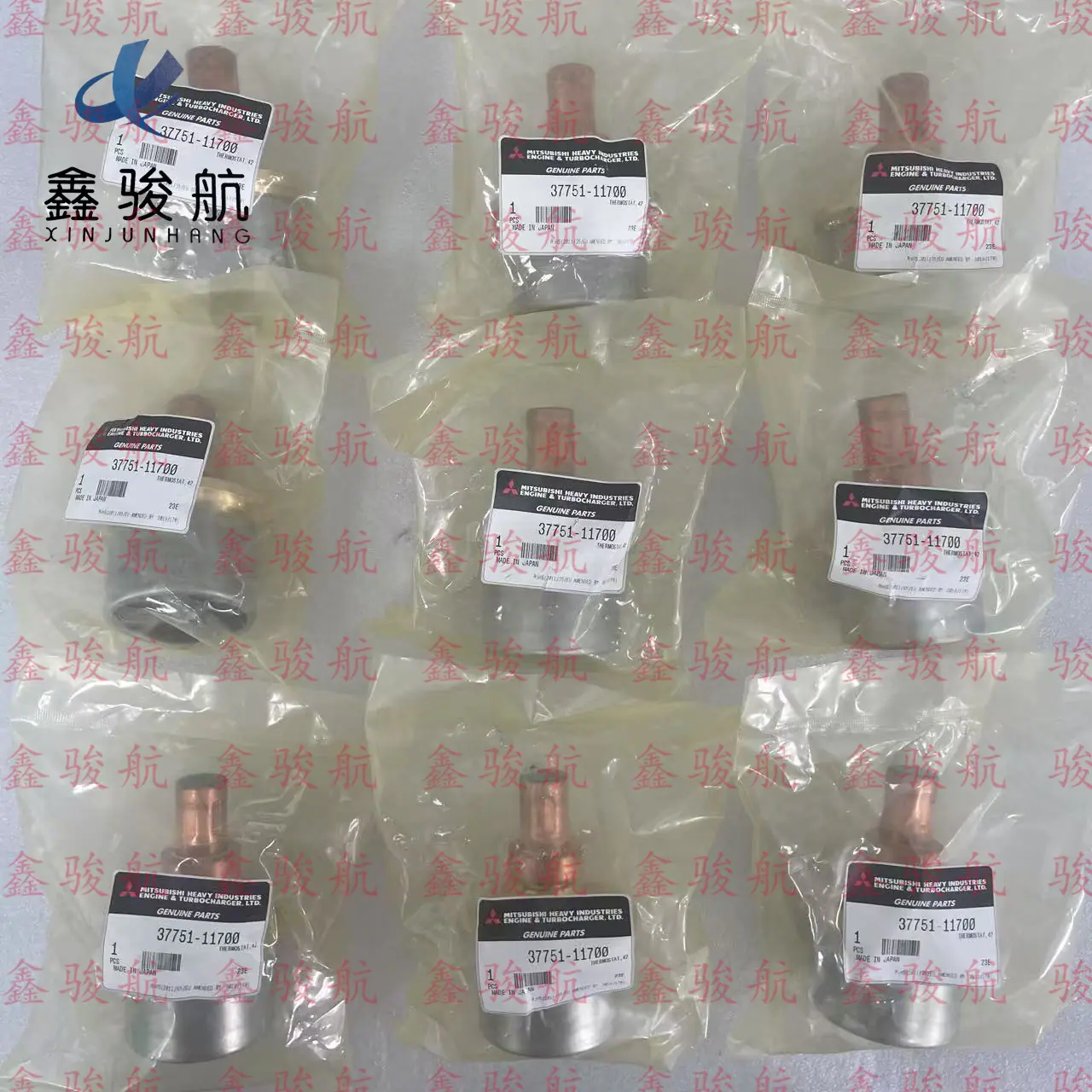 37751-11700 (1)