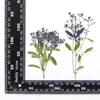 Copos de nieve, kit de prensa de flores secas, materiales para manualidades DIY, libro de especímenes de plantas, marcapáginas, manualidades educativas para niños, materiales para prensa de flores secas