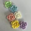 Nuevo rodillo de pintura a mano hoja rosa tamaño grande aproximadamente 26 mm al contado en vivo venta al por mayor diy gel de crema tarjeta de pelo al contado