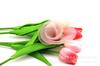 Acessórios de Cabelo Amazon Produtos Semiacabados: Pequenos Acessórios de Cabelo de Flores, Laços, Flores em Forma de Leque, Flores Decorativas de Organza Tridimensionais