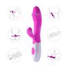 JoyPark Vibración Doble Variable Palo de Masaje Femenino Simulación segundo hijo Punto G Masturbador Palo de Masaje AV Suministros para Adultos