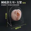Modelo de ouvido silicone características faciais realistas material didático modelo display aparelho auditivo artificial orelha de prática limpeza de ouvido ensino adulto