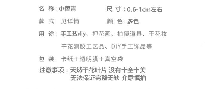 小相亲.png
