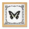 Foto de Espécime de Borboleta Real Moldura de Foto Pintura Decorativa Europeia e Americana Moldura de Foto Retro DIY Decoração de Mesa para Casa Presente de Aniversário Presente