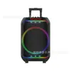 Altavoz de Fiesta Grande con Carrito Altavoz Bluetooth de Alta Potencia con Micrófono Inalámbrico Altavoz con Carrito