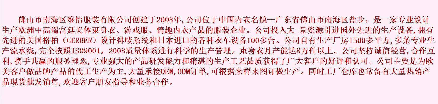 公司简介