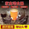 Alimento para Pollo Pato Alimentador Automático Avicultura Alimentador Automático Cubo de Alimento Alimentador para Palomas Comedero Equipo Agrícola Suministros