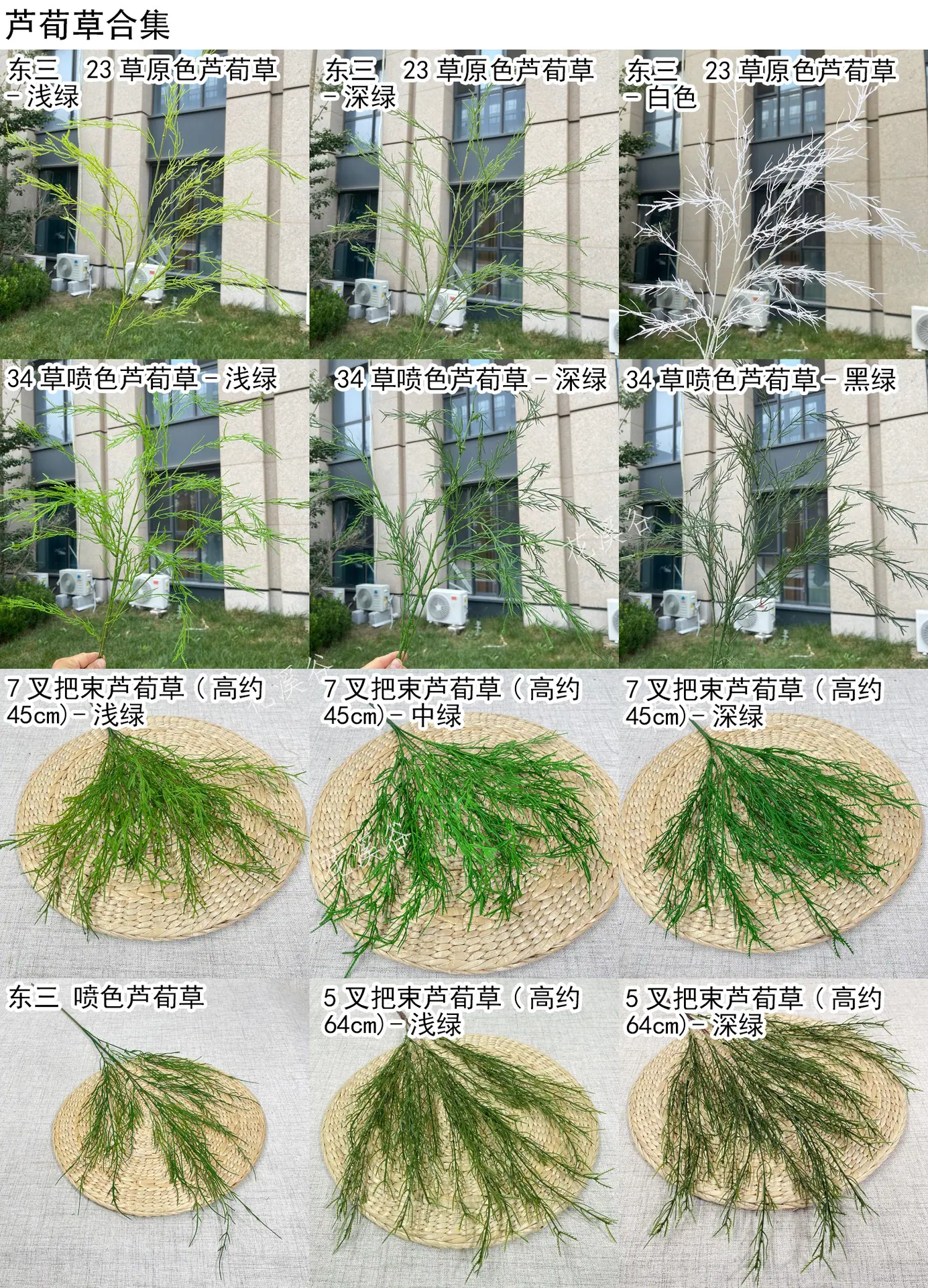 芦荀草合集 色卡 花溪谷.jpg