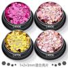 Produtos quentes Amazon transfronteiriços 1+2+3 joias de unha com lantejoulas mistas esmalte em gel para unhas maquiagem glitter atacado