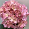 Flor Artificial Anna Hortensia Flor Falsa Película 3D Fruta Hortensia Decoración del Hogar Decoración de Boda Pedido