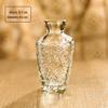 Vaso de Vidro Vintage Mais Vendido Transfronteiriço com Toque de Luxo, Arranjo de Flores e Frasco de Aromaterapia, Conjunto de Vasos Decorativos Pequenos Estilo Ins Transparente