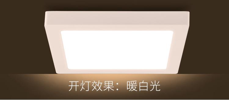 明装面板灯_14.jpg