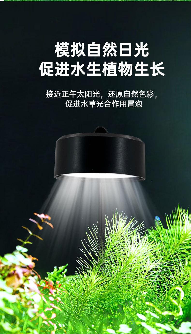 水草灯详情_05.jpg