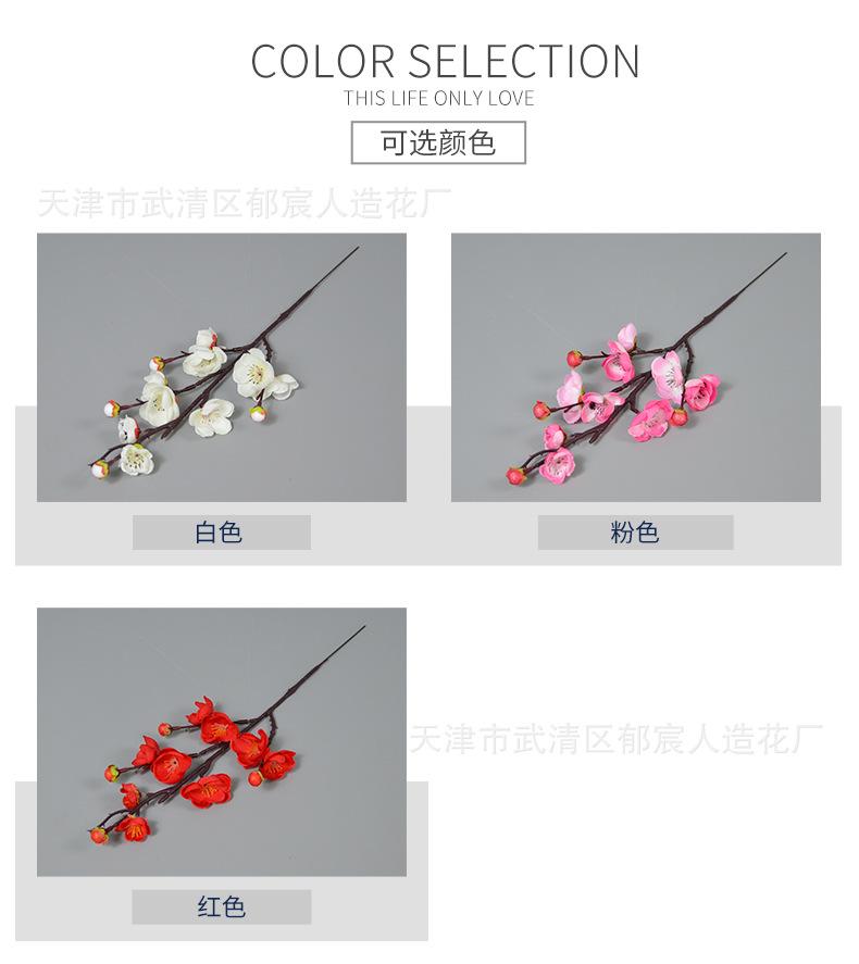 详情_02.png