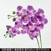 Flores de Orquídea Realistas de 38 pulgadas de Amazon para Fondos de Boda y Decoraciones Florales Orquídeas Artificiales