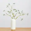 Ramas de Bayas Artificiales Transfronterizas, Frutos de Madera de Caballo, Enredaderas de Frutos Rojos, Enredaderas de Flores Secas, Ramitas Decorativas para Paisajismo, Arreglos Florales y Decoraciones para el Hogar