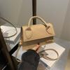 Bolso de Hombro Cruzado Casual Simple de Moda Francés de Alta Gama para Mujer 2024 Verano Nuevo Bolso Cuadrado Pequeño Versátil de Moda