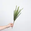 Venta al por mayor de plantas verdes ornamentales para paredes, incluyendo helechos, clemátides, helechos silvestres de montaña, bambú negro, tuya, helechos de espárrago y helechos extranjeros