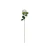 Rosa Perla Comercio Transfronterizo Flor Artificial Rosa de un Solo Tallo Decoración del Hogar Flor Falsa Flor de Seda Ramo de Mano