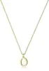 Amazon Simple Collar de Oro para Hombres y Mujeres Joyería con Colgante de Letra Inglesa que Conserva el Color Cadena para Clavícula