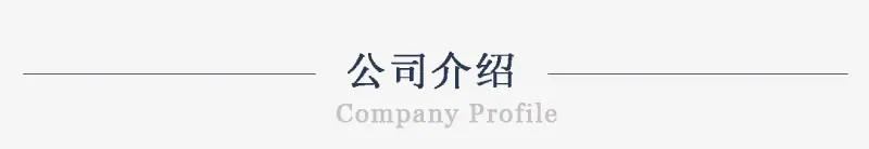 公司介绍