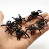 Comercio Exterior Juguetes Más Vendidos Modelo de Animal Insecto Araña de PVC Kuso Gashapon Juguetes