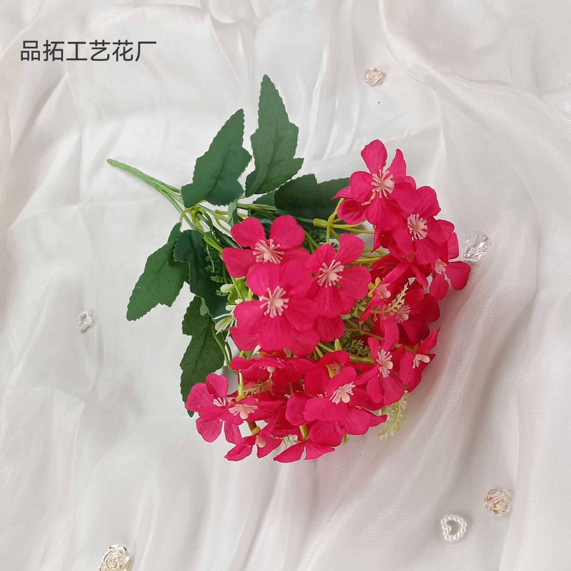 53ed9455726b3a02822a0d302884dc
