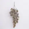 Suministrado Directamente del Fabricante a Amazon para Celebraciones de Bodas Transfronterizas, Grandes Ramilletes de Follaje de Eucalipto para Fondos Decorativos, Arreglos Florales y Decoración del Hogar