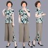 Traje de moda para nova mãe 2025, feminino de meia-idade e idoso, verão, manga curta, top de chiffon e calça, conjunto de duas peças, fino